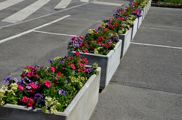 kwiaty w betonowych donicach