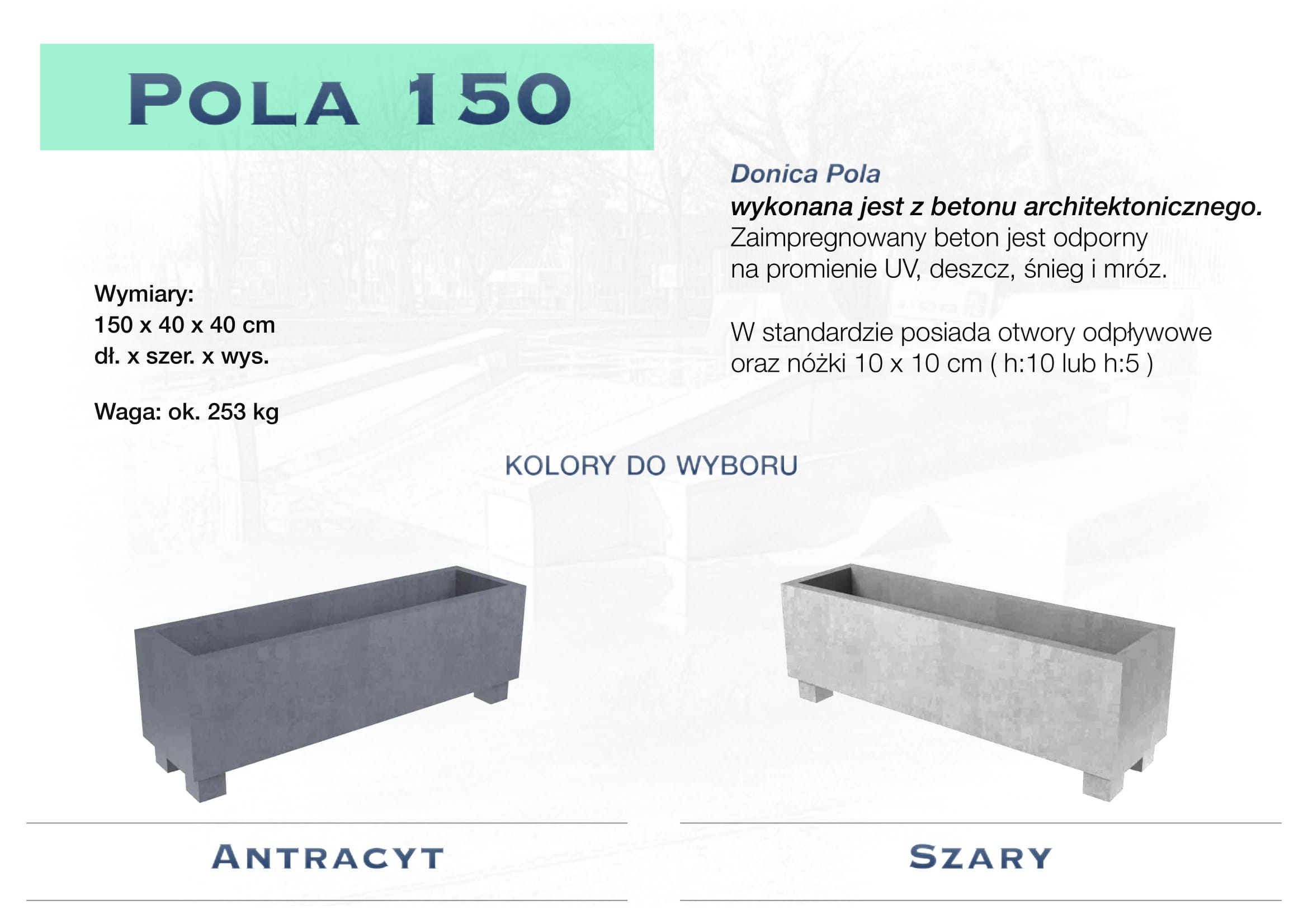 Pola-06